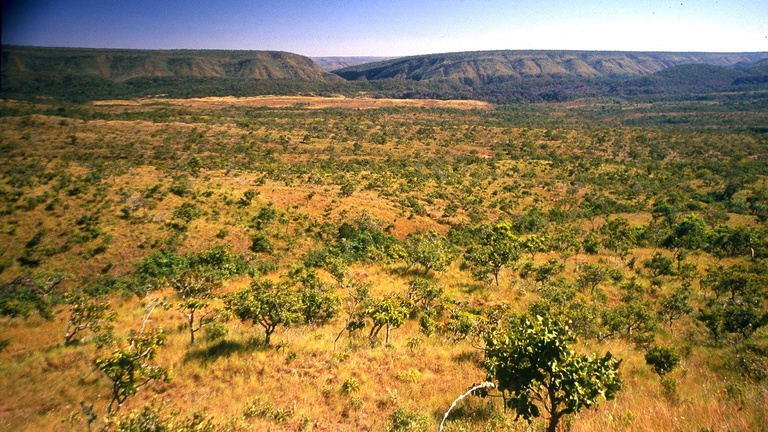 LEGISLAÇÃO AMBIENTAL ][ TRF1 mantém embargos do Ibama contra fazendas no oeste baiano